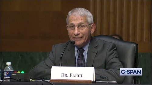 Rand Paul v Anthony Fauci: Gain-Of-Function Research