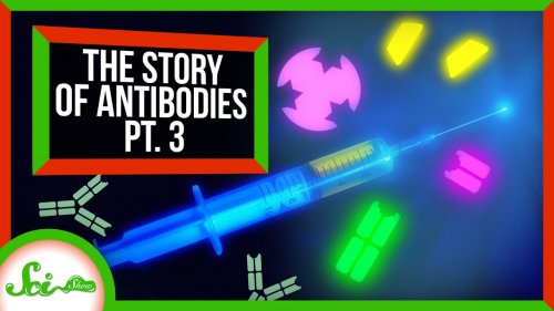 Smaller, Better, Faster, Stronger: the “Antibodies” of the Future