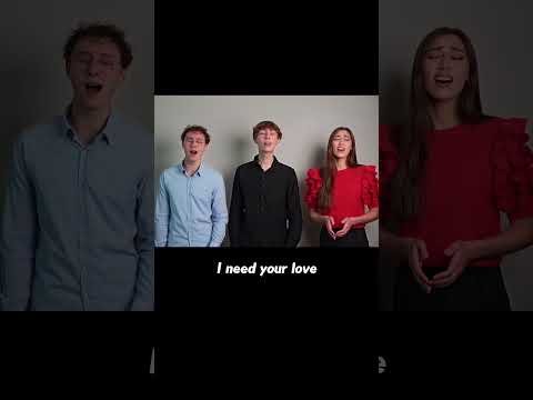 Lifein3d | Unchained Melody | Righteous Brothers #coversong #singing #siblings #classic #harmony