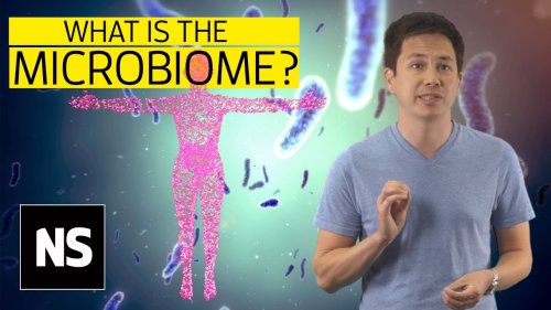 The microbiome: How gut bacteria regulate your health | Science with Sam