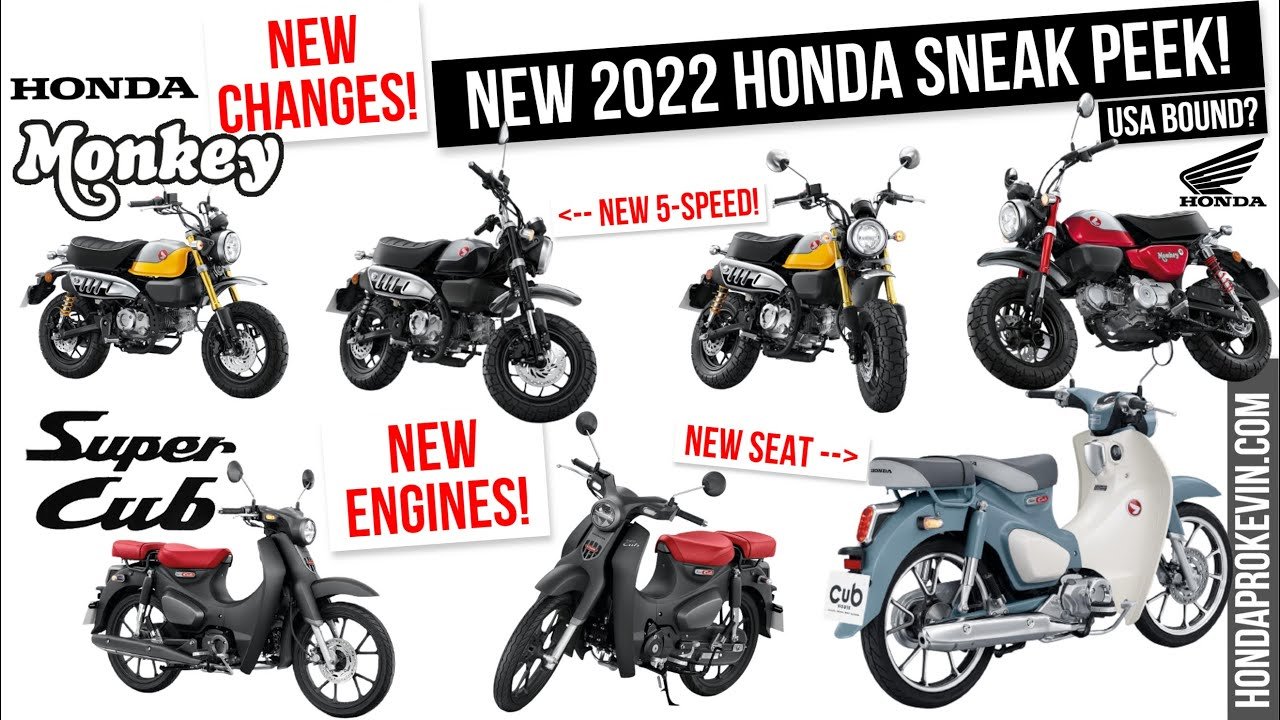 new honda monkey 2022