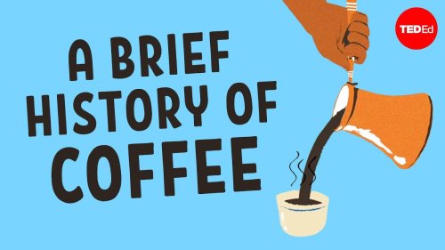 How Humanity Got Hooked on Coffee: An Animated History