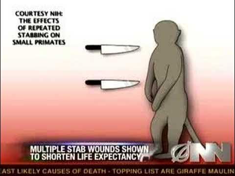 Multiple Stab Wounds May Be Harmful To Monkeys