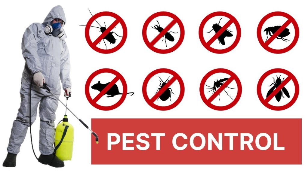 Pest Control Services In Hyderabad (@hyderabadpestco) on Flipboard