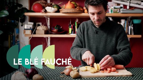 LE BLÉ FAUCHÉ