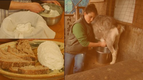 Crafting Chèvre at Home: A Step-by-Step Guide to Soft Goat's Milk Cheese