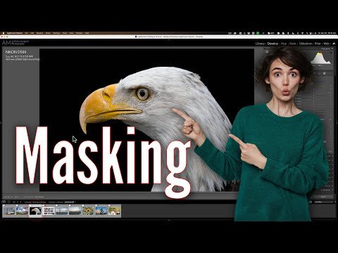 How To Use 19 DIFFERENT MASKS in Lightroom