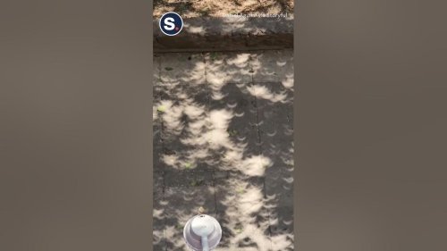 Solar Eclipse Creates Mini Moon Shadows on Ground in Mexico City