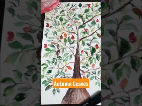 Autumn Leaves #Shorts #shortvideos