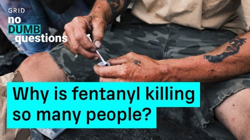 Why Is Fentanyl So Deadly? | No Dumb Questions