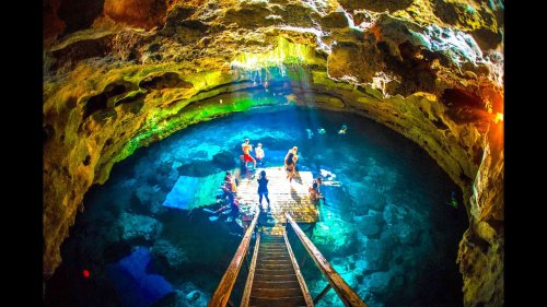 Unique Things to do in Florida You'll Love