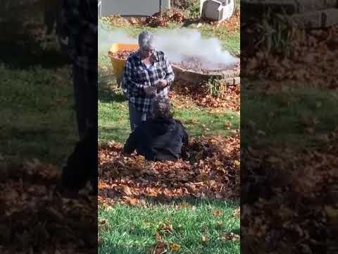 Elderly Couple Playing In The Leaves Reminds The Internet What “Relationship Goals” Are