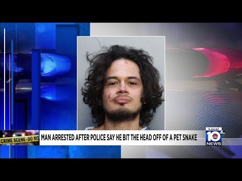 The 6 wildest Florida man stories of 2023 | Flipboard