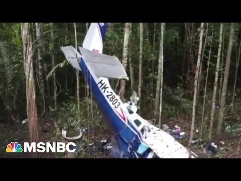 Here’s How Four Children Survived 40 Days Lost in the Amazon Jungle