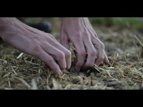 Carbon Farming: A Climate Solution Under Our Feet