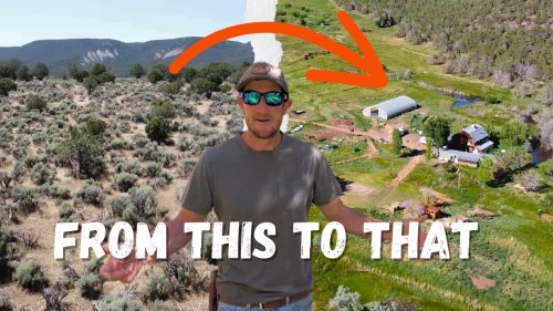 Regenerative Farm in the High Desert growing trees and cows