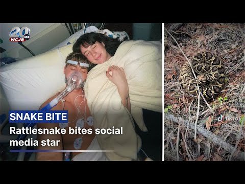 Influencer Controversially Records Moments After Rattlesnake Bit Him