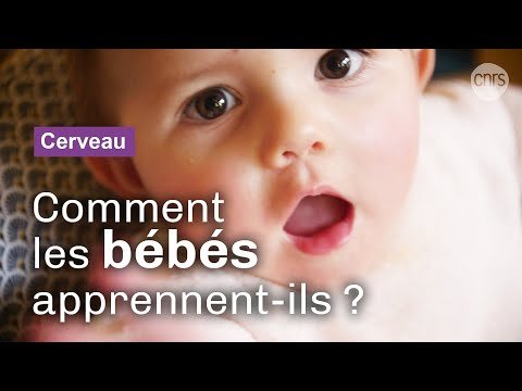 Comment les bébés apprennent à parler