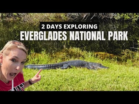 Everglades National Park: Stunning Airboat Tours, Alligators, Manatees, and Hiking Trails!