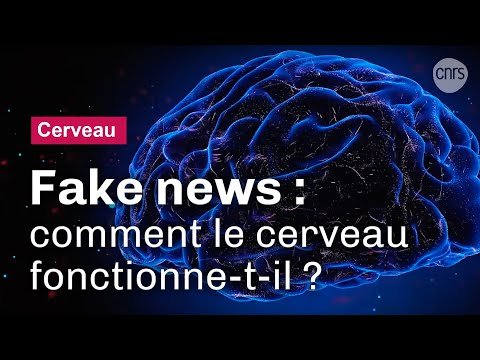 « Fake news » : qu’est-ce qui trompe notre cerveau ?