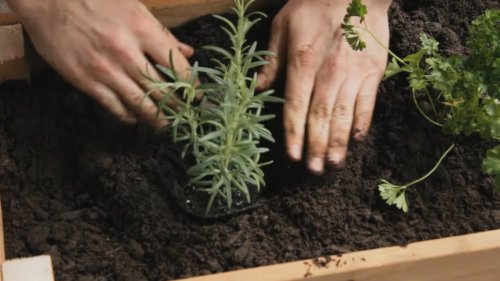 How To Build a Planter Box | Cottage Life