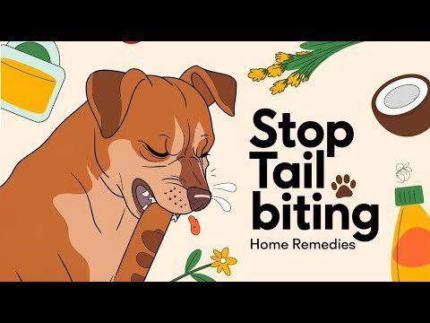 Home Remedies for Dog Biting Tail: Natural Solutions to Stop the Habit