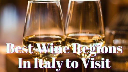 Best Wine Regions In Italy to Visit