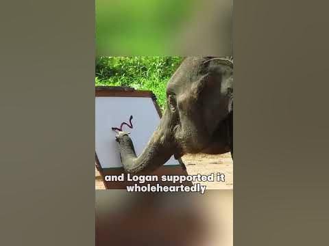 This young elephant is simply a genius. #truestory #animals