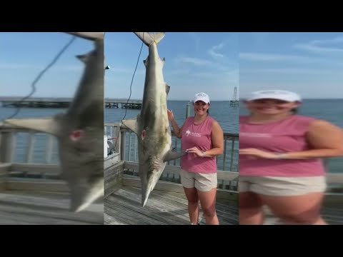 South Carolina Teacher Hauls In State Record Shark By Hand After Her Rod Breaks