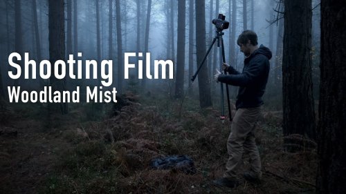 Landscape Photography on Film | Woodland Mist Portra 400