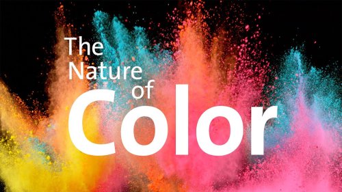 The Nature of Color at the American Museum of Natural History