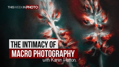 The Intimacy of Macro Photography