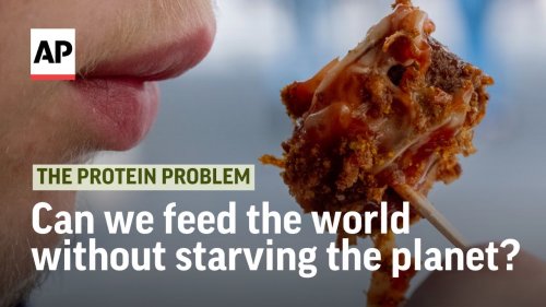 Can we feed the world without starving the planet? | The Protein Problem Trailer