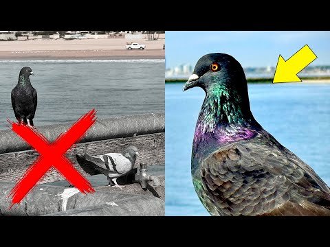 Tourist Snaps to Travel Photography Masterpieces! 📸 Upgrade Your mobile Shots!"