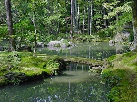 Temples et jardins de kyoto