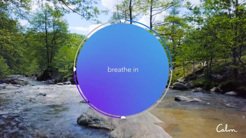 Calm | Breathe Bubble