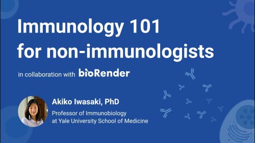 COVID-19 Immunology 101 for Non-immunologists by Akiko Iwasaki, Ph.D.