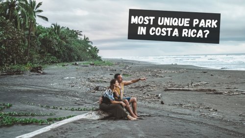 AMAZING Wildlife Sightings in Tortuguero National Park, Costa Rica | 2021