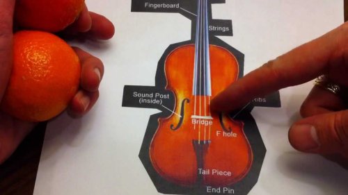 Why Violins Have F‑Holes: The Science & History of the Renaissance Design