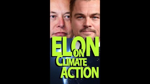 Elon Musk and Leonardo DiCaprio on a Popular Uprising to Prevent Climate Disaster #Shorts #ElonMusk
