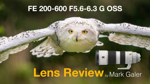 Sony FE 200 600 G and FE 100-400 GM Lens Review and Comparison Test