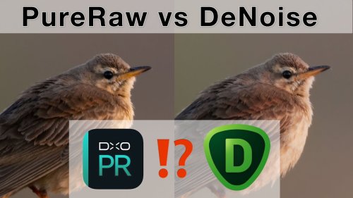 DXO PureRAW 2 vs Topaz DeNoise - Welches Programm ist das Beste? 1:1 Ergebnisse