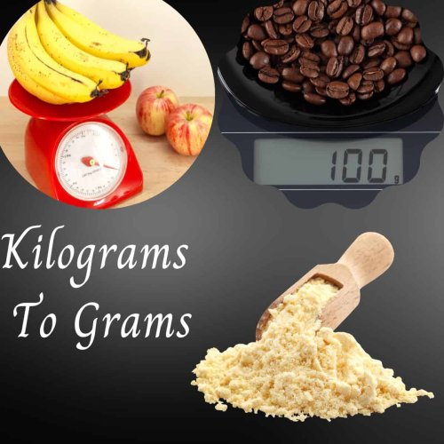 How many grams in a kilogram(conversion chart)