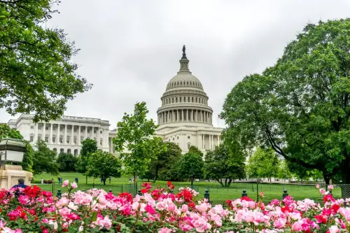 24 Stunden in Washington D.C.: Tipps für einen Kurztrip in die Hauptstadt