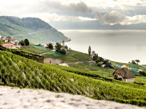 Weinreise Schweiz – 5 außergewöhnliche Tipps für Gourmets und Weinliebhaber