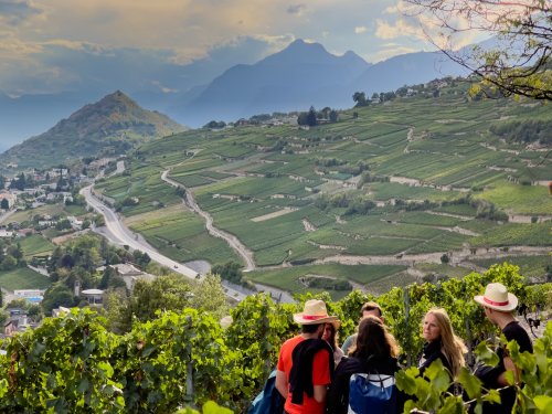 Weinreise Schweiz - 5 Tipps für Gourmets und Weinliebhaber