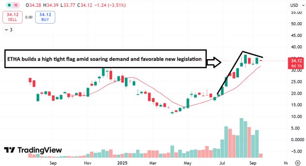 Ethereum: The Backbone of the Stablecoin Market