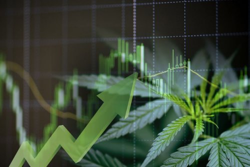 Is Jazz Pharmaceuticals a Top Cannabis Investment for 2025?