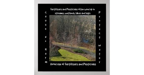 Protect Water & Nature Poster | Zazzle
