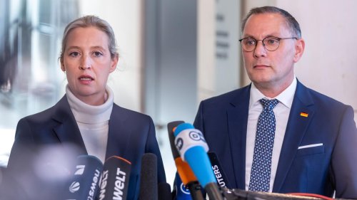 Ausschüsse ohne Leitung:Kein Vorsitz für AfD - Streit geht in Runde zwei